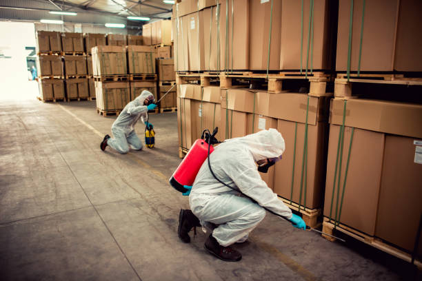 Best Exterminator Services  in Sartell, MN