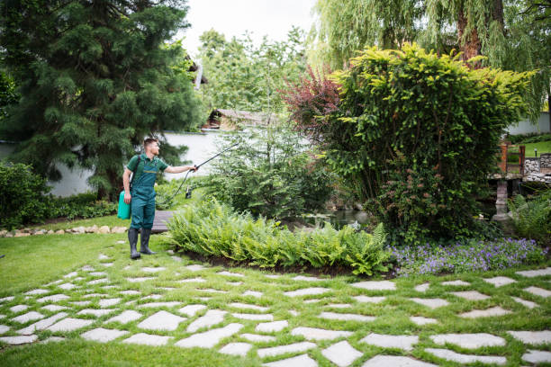 Best Wasp Removal Services  in Sartell, MN