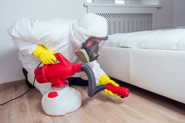 Best Best Pest Control Companies  in Sartell, MN