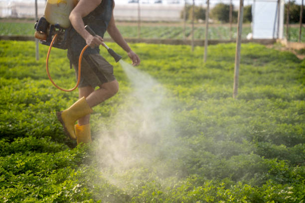 Professional Pest Control in Sartell, MN