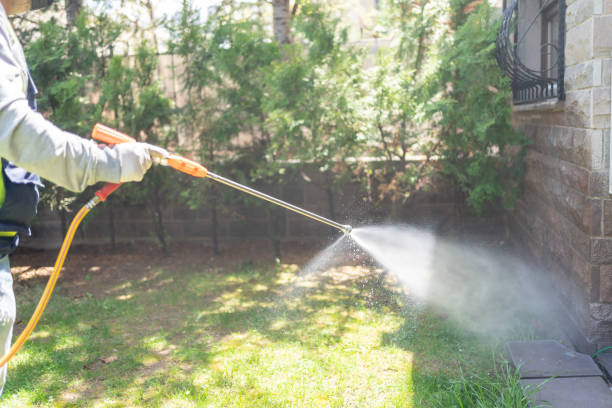 Best Flea Control Services  in Sartell, MN