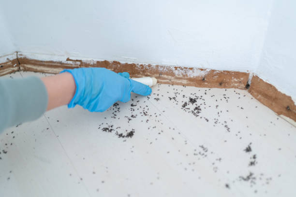 Best Exterminator Services  in Sartell, MN
