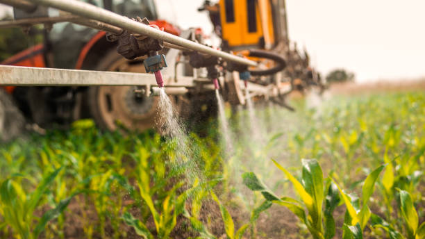 Best Pest Control Cost  in Sartell, MN